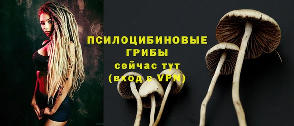 первитин Гусь-Хрустальный