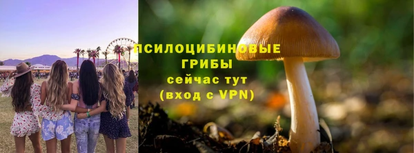Альфа ПВП Дмитриев