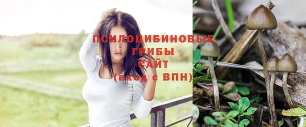ECSTASY Дмитров