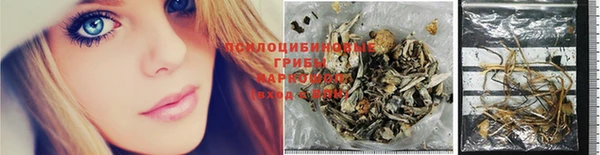 ECSTASY Дмитров