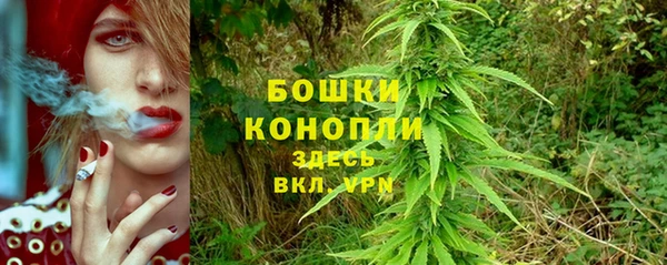 гидропоника Дмитровск