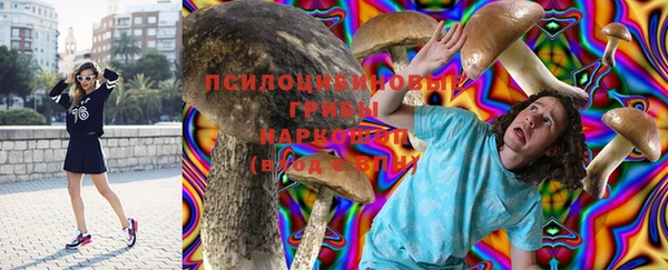 гидропоника Дмитровск