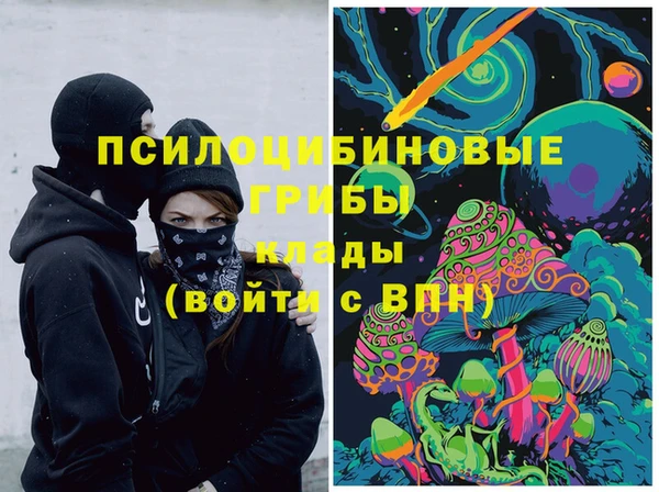 гашик Гусиноозёрск