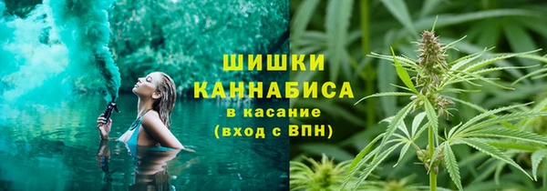 Альфа ПВП Дмитриев
