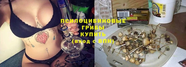 Альфа ПВП Дмитриев