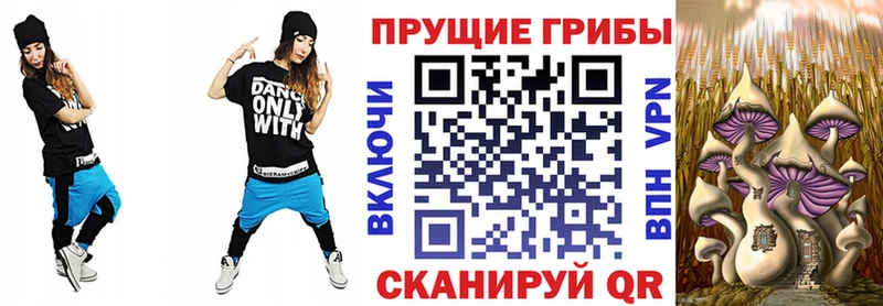 Галлюциногенные грибы MAGIC MUSHROOMS Дорогобуж