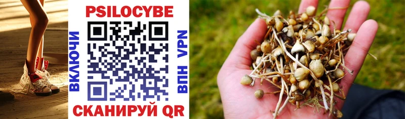 Псилоцибиновые грибы Magic Shrooms  Дорогобуж 