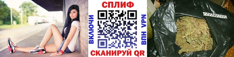 Марихуана сатива  omg tor  Дорогобуж 